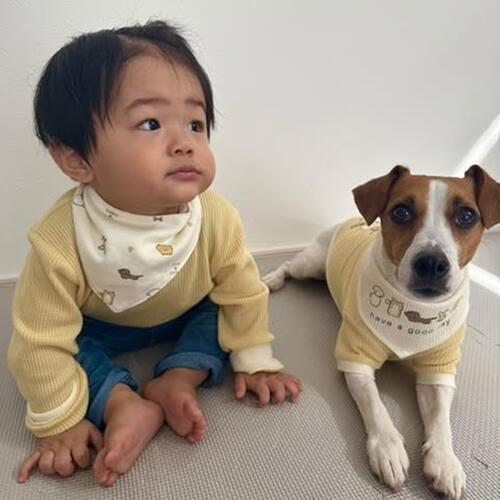 【ベビー&times;ペットコレクション】スタイ 3枚組 イヌ バンダナ型