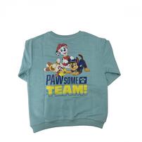 ベビーザらス限定　パウ･パトロール パウパトチームトレーナー(ミント&times;120cm)