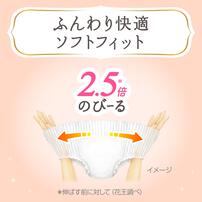 メリーズ ファーストプレミアムパンツ Lサイズ 36枚 【花王 パンツタイプ おむつ】