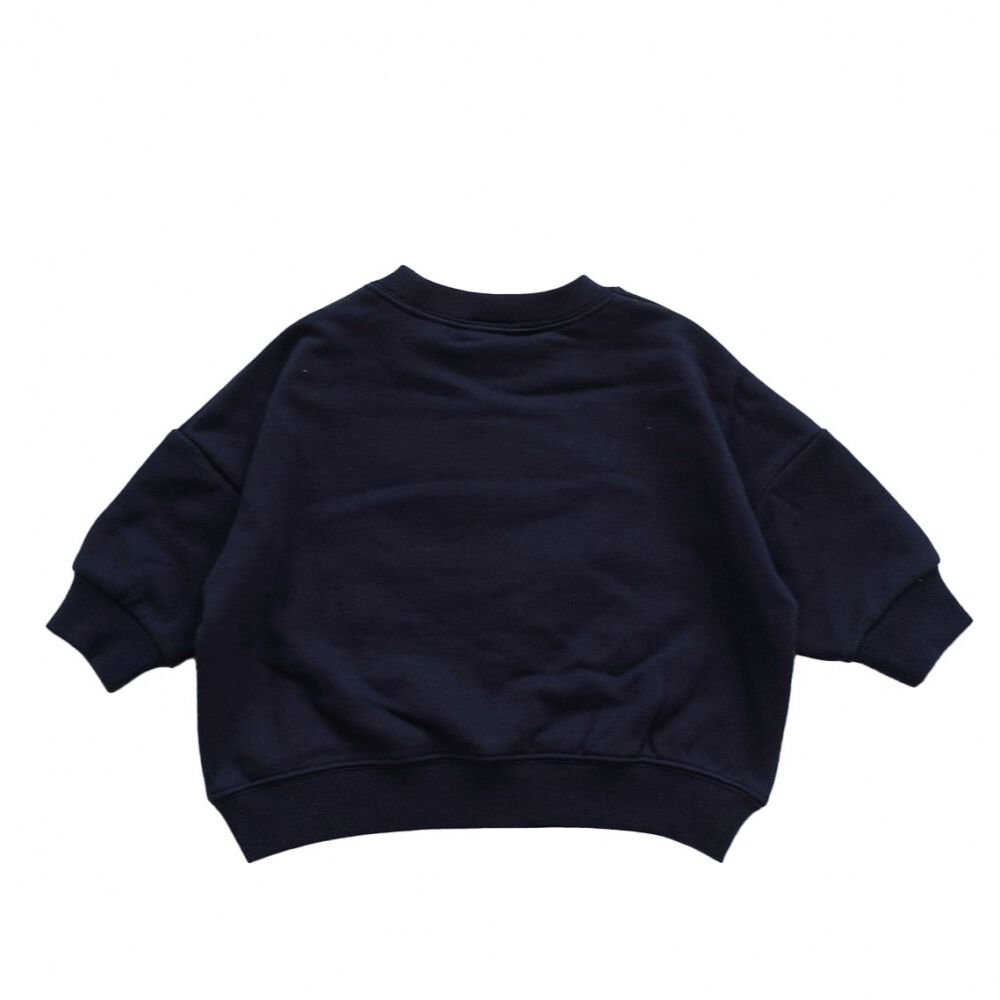 新品未使用Championチャンピオン　トレーナー　ネイビー　XXL Champion チャンピオン 長袖トレーナー ネイビー×80cmベビーザらス限定