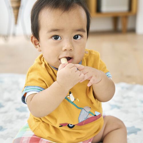 EDISONmama エジソンママ くちどけおこめぼー 緑のやさい【乳児用規格適用食品 離乳食 ベビーフード】【7カ月～】