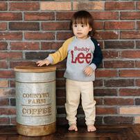 BUDDYLEE 長袖トレーナー ガーゼ裏毛 ラグラン クレイジー切替 グレー×90cm ベビーザらス限定