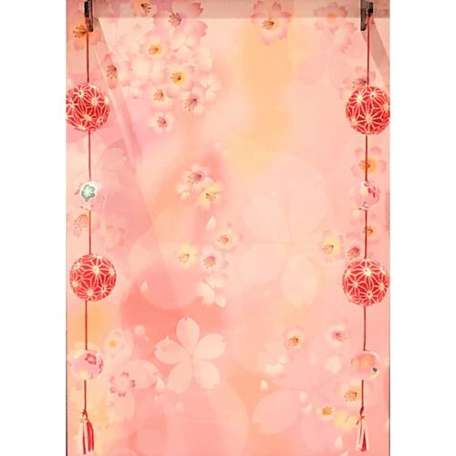 【羽子板】ワイン塗吊るし付きアクリルカブセケース 「振袖」 10号 (245109) トイザらス・ベビーザらス限定【メーカー直送】