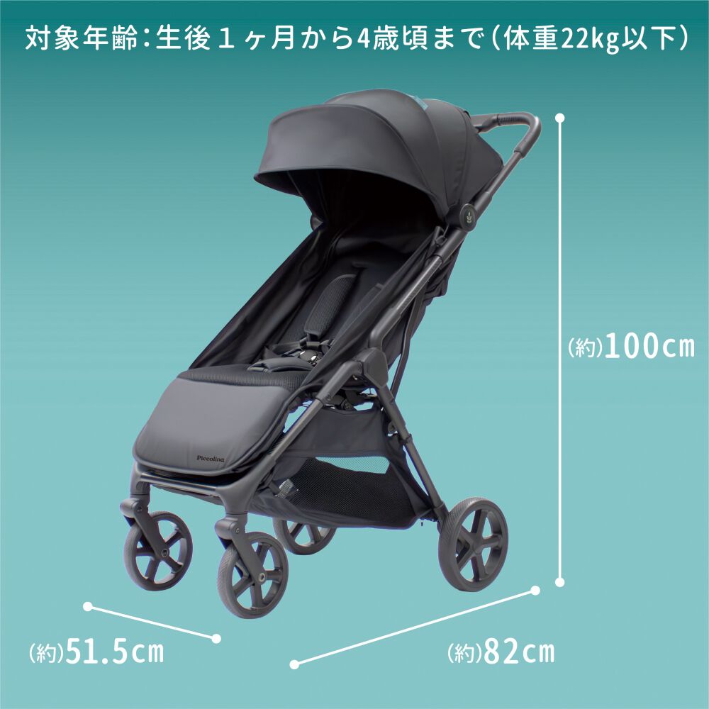 Piccolina STRADA CARBON ピッコリーナ ストラーダカーボン 軽さ×強さ