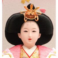 【雛人形】ケース親王飾り「雪輪牡丹桜丸形アクリル」（322913）トイザらス・ベビーザらス限定