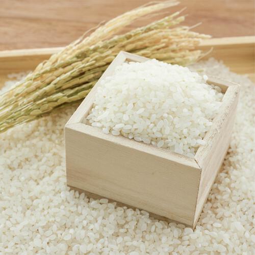 EDISONmama エジソンママ くちどけおこめぼー 緑のやさい【乳児用規格適用食品 離乳食 ベビーフード】【7カ月～】