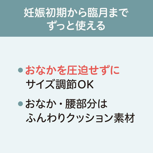 ピジョン 初期から使える 妊婦さんの腰しっかりサポーター(ﾌﾞﾗｯｸ&times;L)