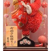 【羽子板】ワイン塗吊るし付きアクリルカブセケース 「振袖」 10号 (245109) トイザらス・ベビーザらス限定【メーカー直送】