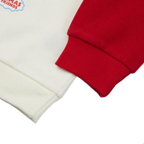 THOMAS トーマス 長袖デイリートレーナー 起毛 図鑑アート ナチュラル×95cm ベビーザらス限定