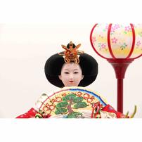 【雛人形】ケース飾り 親王飾り「桜吹雪木目調」(322354)ひな人形 ひな祭り お雛様 おしゃれ モダン 木目【メーカー直送】