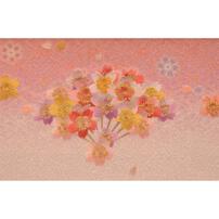 【雛人形】ケース飾り 親王飾り「桜扇木目アクリル」 (322589)ひな人形 ひな祭り お雛様 コンパクト おしゃれ 収納飾り【メーカー直送】