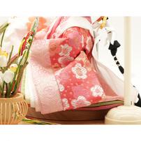 【雛人形】ケース飾り 親王飾り「唐華亀甲模様木目アクリル」 (322989)ひな人形 彩シリーズ おしゃれ トイザらス・ベビーザらス限定【メーカー直送】