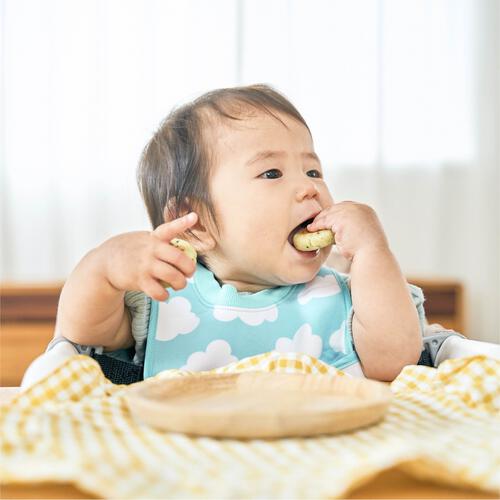 EDISONmama エジソンママ うまみそのままフレークかぼちゃ100g【乳児用規格適用食品 離乳食 ベビーフード】【5カ月～】
