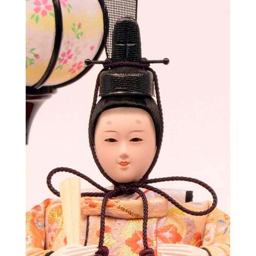 【雛人形】ケース飾り 親王飾り「桜吹雪ワインレッド」  (322331)ひな人形 ひな祭り おしゃれ トイザらス・ベビーザらス限定【メーカー直送】