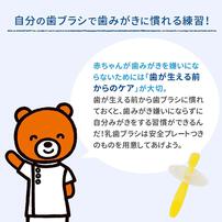 親子で乳歯ケア 乳歯ブラシ レッスン段階3 2本入り