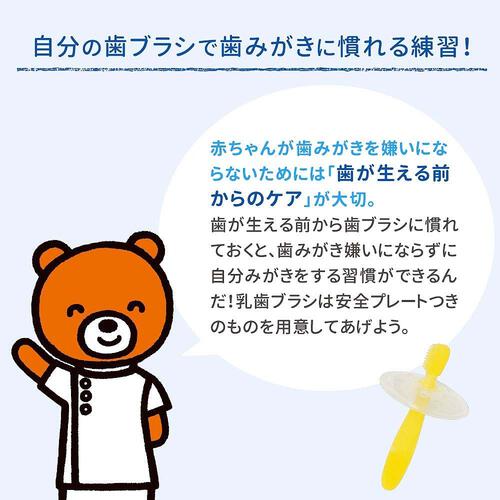 親子で乳歯ケア 乳歯ブラシ レッスン段階3 2本入り