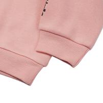 パワパフ 長袖デイリートレーナー 起毛 集合＆袖ロゴ ピンク×95cm ベビーザらス限定