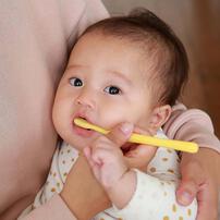 親子で乳歯ケア 仕上げ専用 歯ぐきマッサージ～前歯みがき