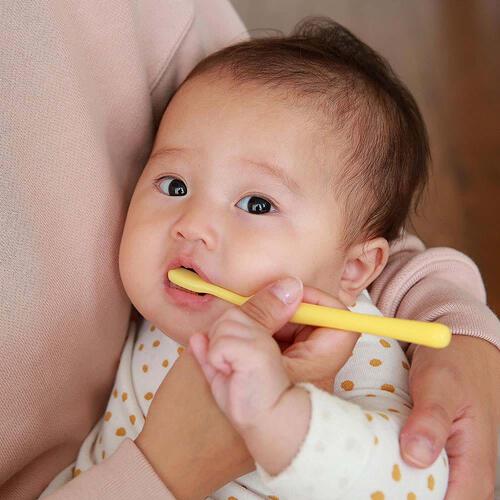 親子で乳歯ケア 仕上げ専用 歯ぐきマッサージ～前歯みがき