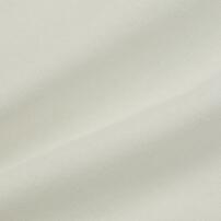 THOMAS トーマス 長袖デイリートレーナー 起毛 図鑑アート ナチュラル×90cm ベビーザらス限定