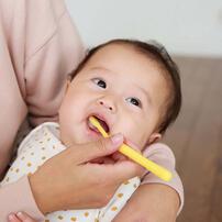 親子で乳歯ケア 仕上げ専用 歯ぐきマッサージ～前歯みがき