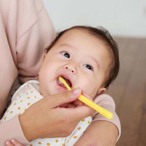 親子で乳歯ケア 仕上げ専用 歯ぐきマッサージ～前歯みがき