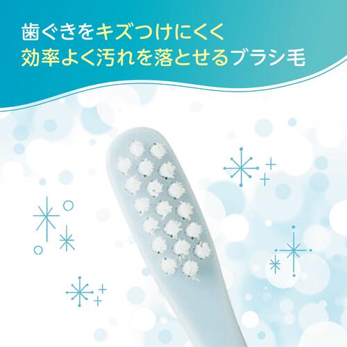 ピジョン 乳歯ブラシ レッスン段階5【色ランダム】