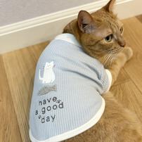 【ベビー&times;ペットコレクション】キャットウエア 猫ワッペン付き ワッフル 赤ちゃん 出産準備 出産祝い ベビー服 子供服