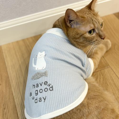 【ベビー&times;ペットコレクション】キャットウエア 猫ワッペン付き ワッフル 赤ちゃん 出産準備 出産祝い ベビー服 子供服
