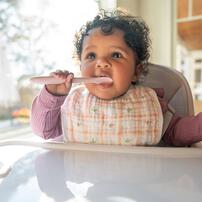 ADEN+ANAIS エイデンアンドアネイ エッセンシャルズ スナップビブ3枚入りカントリーフローラル(ピンク×フリー)