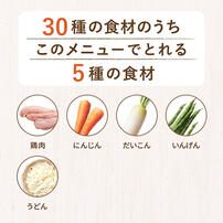 WAKODO GLOBAL 鶏肉のけんちんうどん 【離乳食 ベビーフード】 【7ヶ月～】