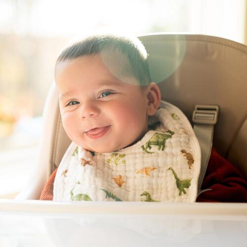 ADEN+ANAIS エイデンアンドアネイ エッセンシャルズ スナップビブ3枚入りディノジャングル(ダークグリーン×フリー)