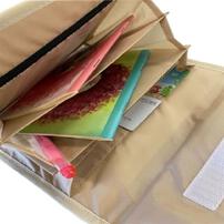 ディズニー 母子手帳ケース ミッキー(ブラウン×FREE) ベビーザらス限定