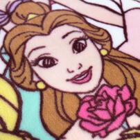 Disney プレミアムお昼寝毛布 プリンセス ピンク 85×115cm