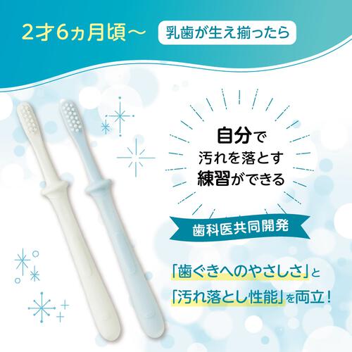 ピジョン 乳歯ブラシ レッスン段階5【色ランダム】