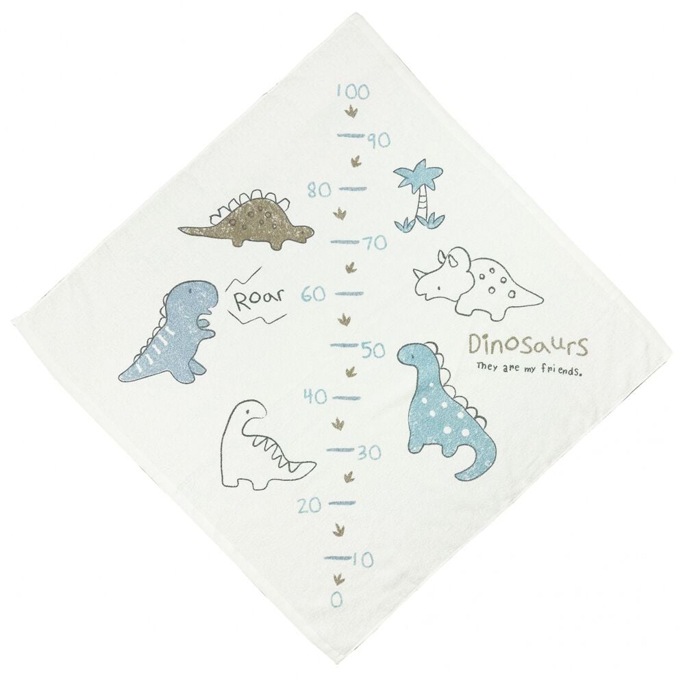 タオル＆ガーゼ浴用4点セット恐竜柄(恐竜×フリー)ベビーザらス限定