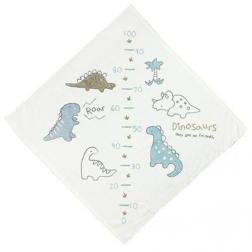 タオル＆ガーゼ浴用４点セット恐竜柄(恐竜&times;フリー)ベビーザらス限定
