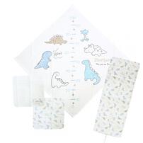 タオル＆ガーゼ浴用４点セット恐竜柄(恐竜&times;フリー)ベビーザらス限定