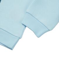 Disney ディズニー アナと雪の女王 長袖デイリートレーナー 起毛 ライトブルー×100cm ベビーザらス限定