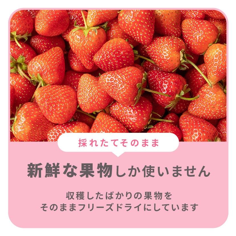 もぐもぐフルーツ 365 (種類ランダム) 【離乳食 ベビーフード】 【9