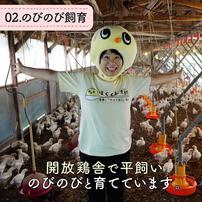 協和食研 はぐくみ太郎 特別飼育鶏 鶏レバーパウダー ミニサイズ 【離乳食 ベビーフード】 【7ヶ月～】