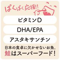 ミライ 赤ちゃん想いの手ほぐし鮭 【離乳食 ベビーフード】【7ヶ月～】