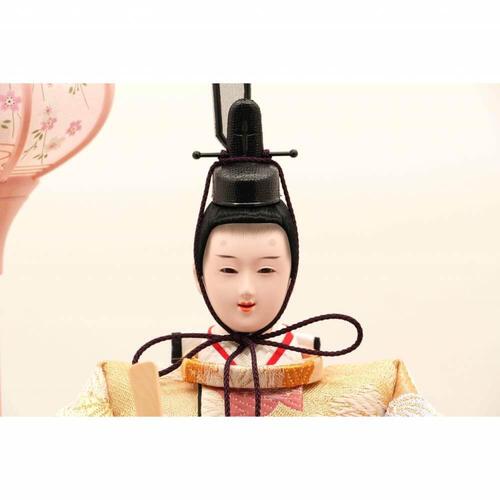 【雛人形】ケース飾り 親王飾り「雪輪桜刺繍木目調」(322353)ひな人形 ひな祭り お雛様 彩シリーズ おしゃれ トイザらス・ベビーザらス限定【メーカー直送】