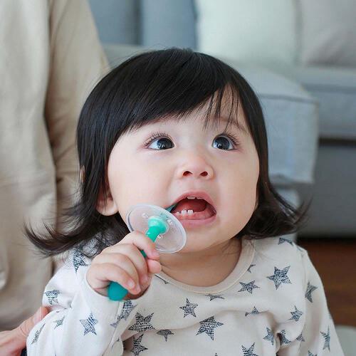 親子で乳歯ケア 乳歯ブラシ レッスン段階3 2本入り