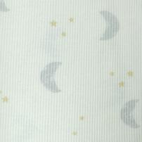 長袖シャツ肌着 2枚組 テレコ ペンギン×月 ブルー×80cm ベビーザらス限定