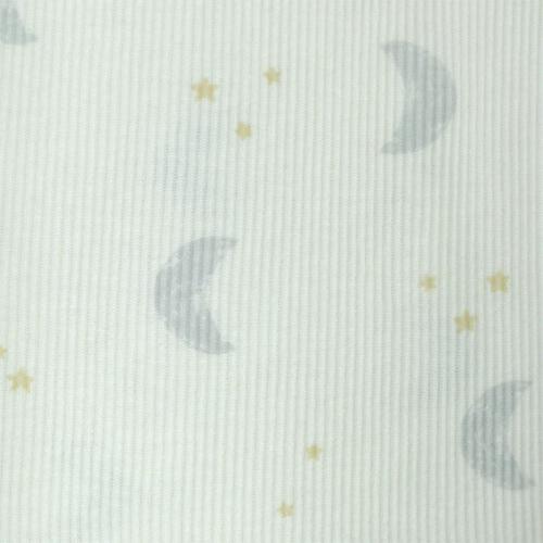 長袖シャツ肌着 2枚組 テレコ ペンギン×月 ブルー×80cm ベビーザらス限定