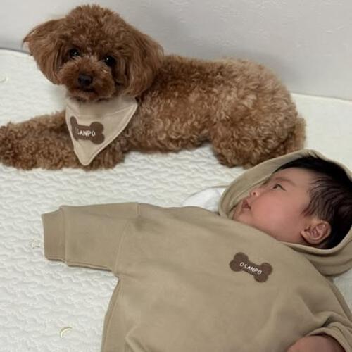 【ベビー&times;ペットコレクション】長袖フード付きボディスーツ ボア耳付き 裏毛 犬 70-80cm