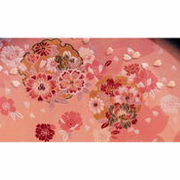 【雛人形】ケース飾り 親王飾り「春歌雪輪桜半円アクリル」  (322895)ひな人形 ひな祭り おしゃれ トイザらス・ベビーザらス限定【メーカー直送】