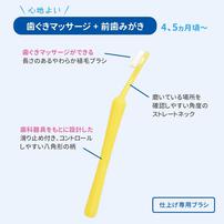 親子で乳歯ケア 仕上げ専用 歯ぐきマッサージ～前歯みがき