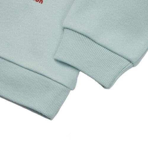 Disney ディズニー ベイマックス 長袖デイリートレーナー 起毛 ミント&times;95cm